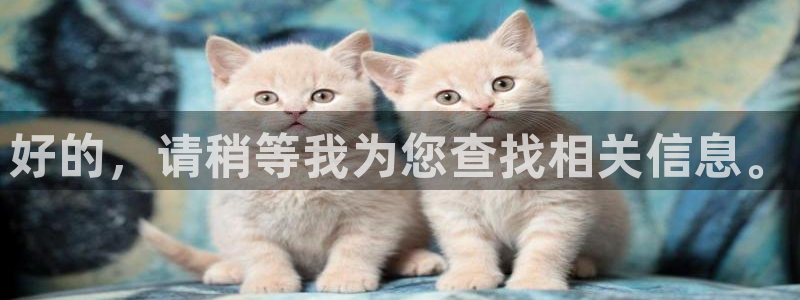 奇米在线观看视频地址一