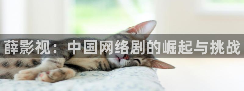 第四色奇米在线观看