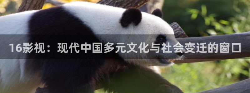 奇米在线国产