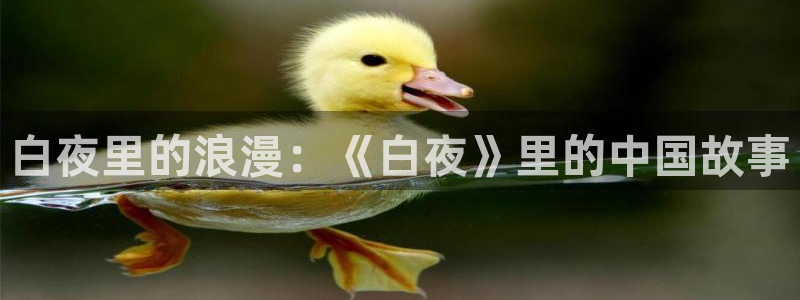 奇米在线视频7777