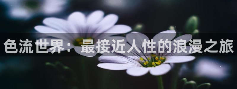 奇米在线视频观看