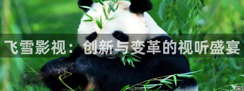 奇米在线三级观看
