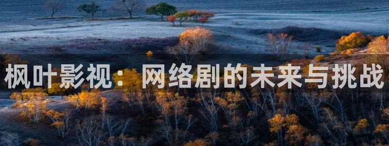 奇米在线 视频