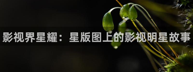 奇米在线影视