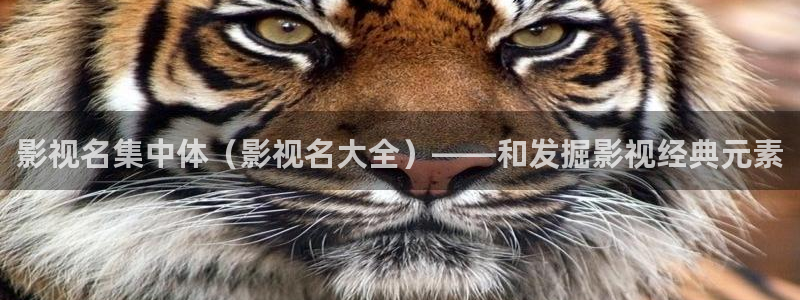 奇米在线视频8888