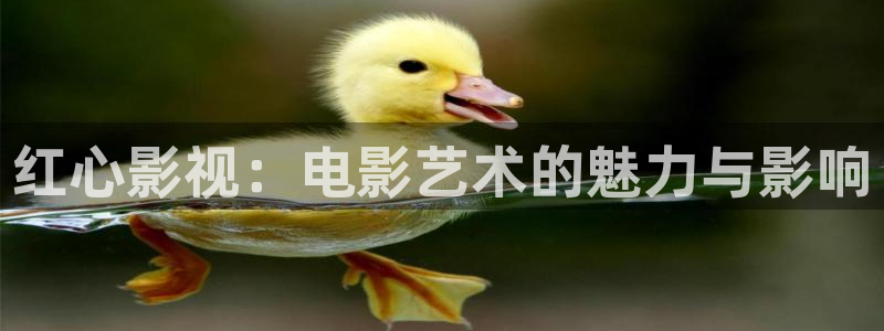 奇米在线免费观看视频