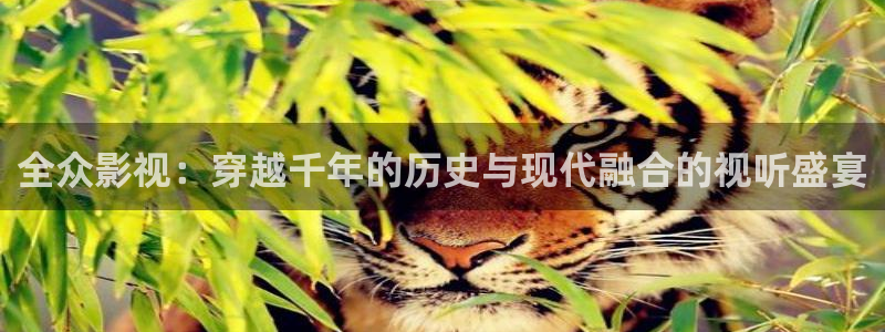 奇米在线观看视频免费